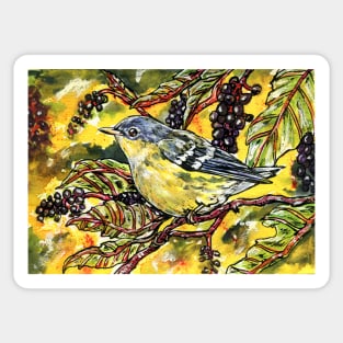 Magnolia Warbler Sticker